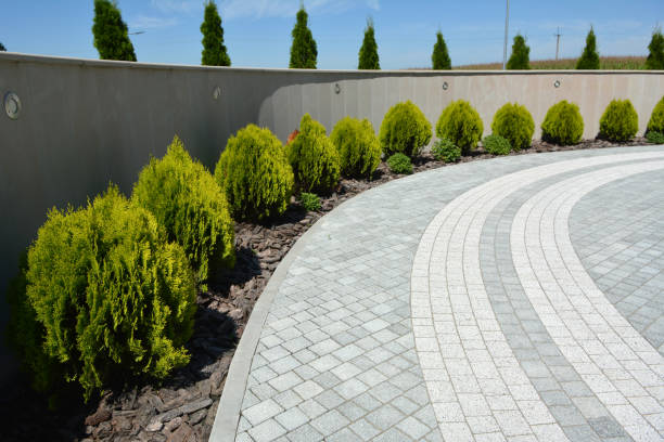 Best Commercial Driveway Pavers  in Millers Creek, NC