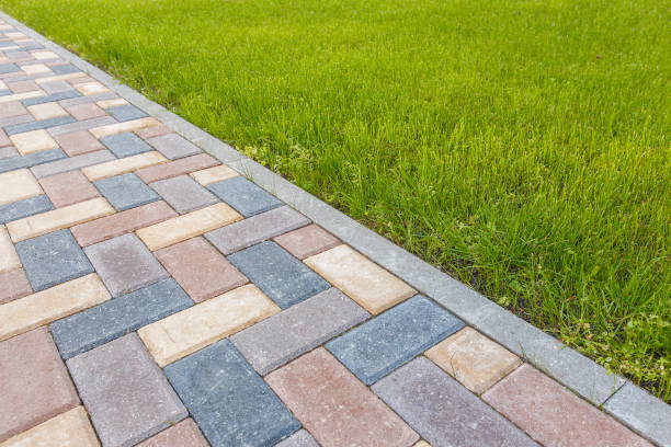 Best Driveway Paving Contractor  in Millers Creek, NC